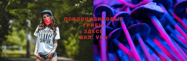 первитин Снежинск