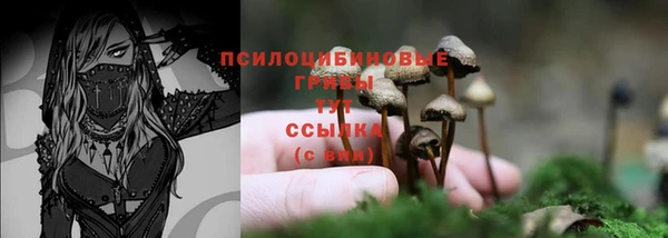 мефедрон Снежногорск