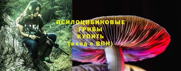 ешки Михайловск