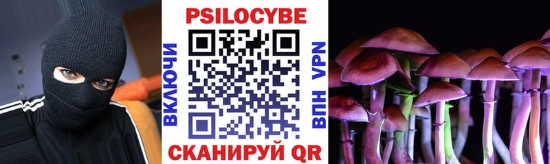 darknet наркотические препараты  Сосногорск  Галлюциногенные грибы Cubensis 